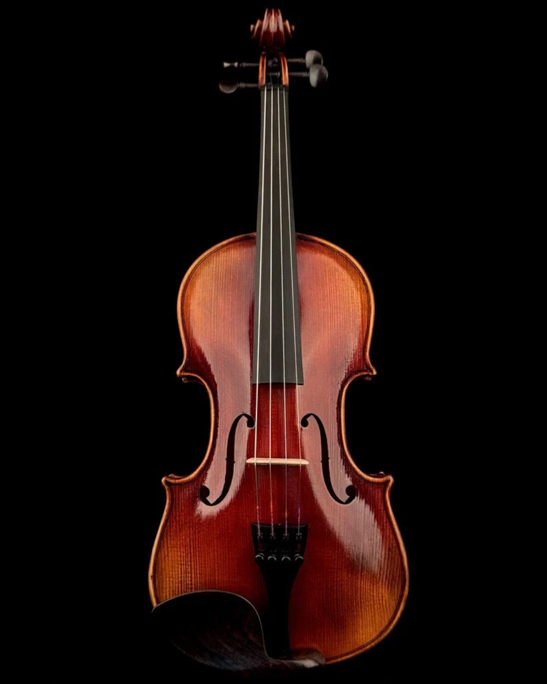 Violino Guarnieri The Cannon 1743